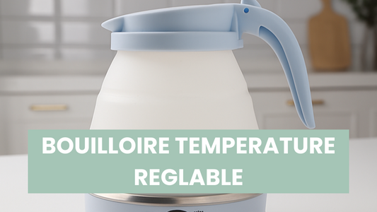 bouilloire temperature reglable