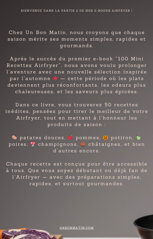 ebook airfryer bienvenue
